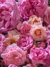 Cargar imagen en el visor de la galería, Rose + Jojoba Roller
